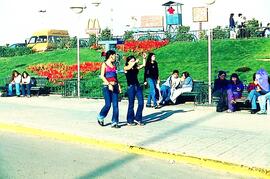 Gente caminando en paseo